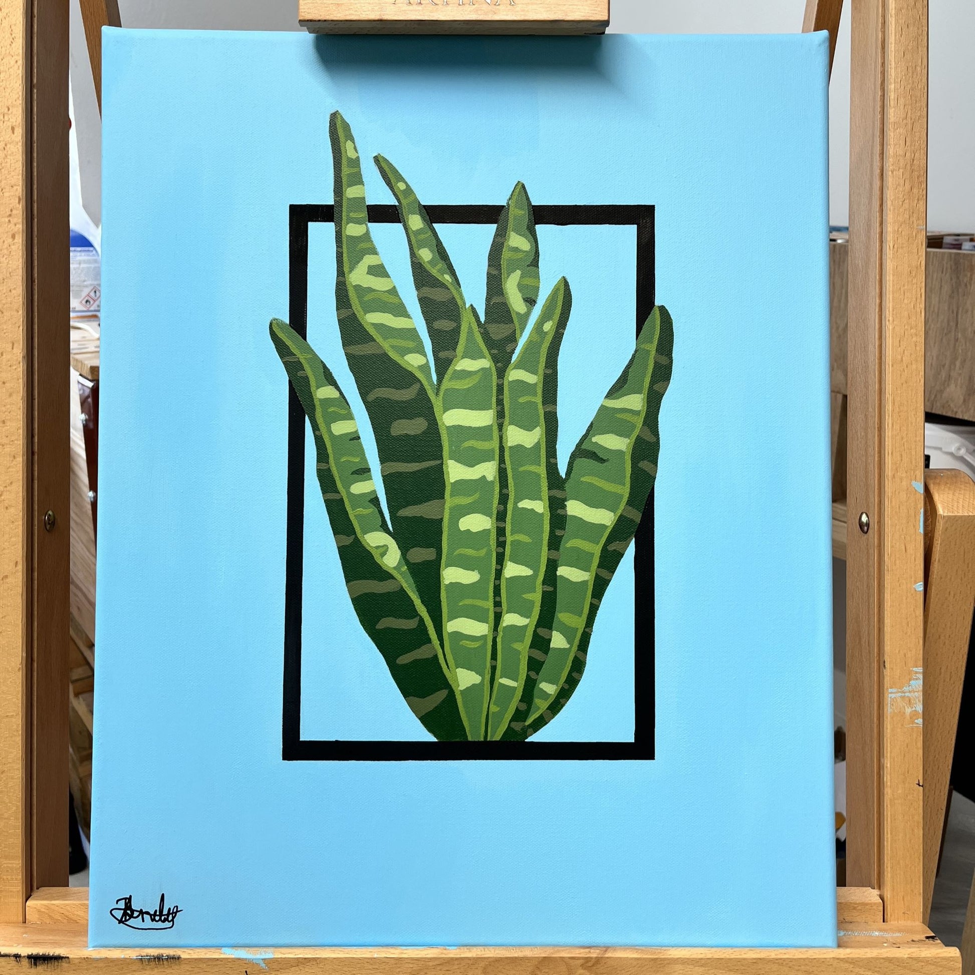 Snake Plant Original